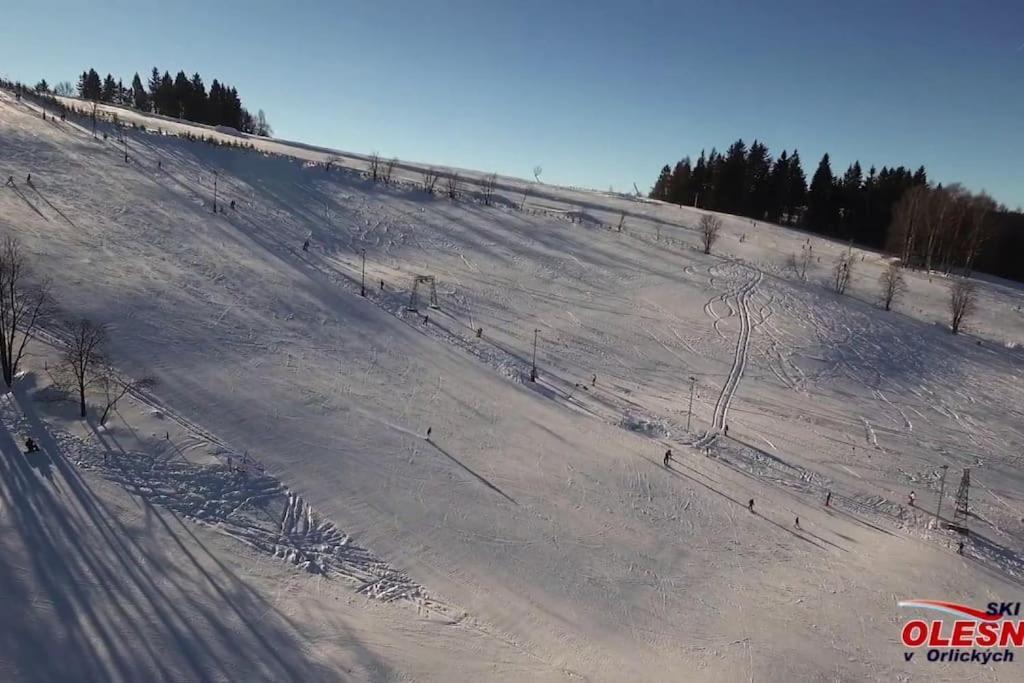 Chatky u potoka, Olešnice v Orlických horách Exterior foto