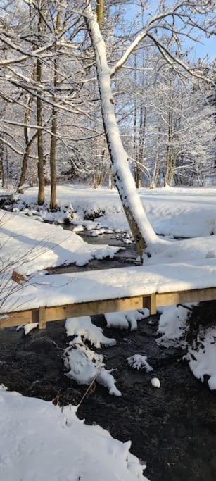 Chatky u potoka, Olešnice v Orlických horách Exterior foto