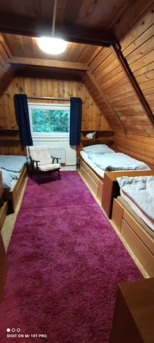Chatky u potoka, Olešnice v Orlických horách Exterior foto