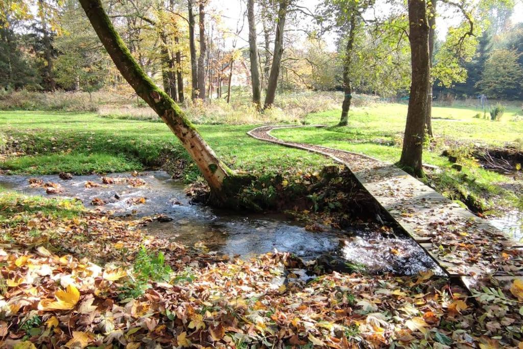 Chatky u potoka, Olešnice v Orlických horách Exterior foto